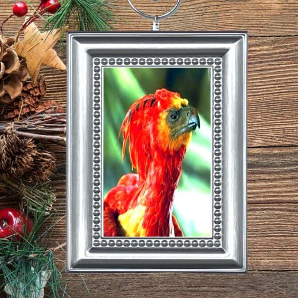 Harry Potter Fawkes Phoenix Christmas Tree Ornament‎ - Picture 1 of 3